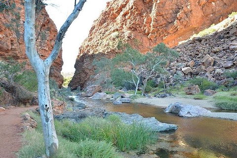 Alice Springs, Uluru Ayers Rock & Kings Canyon 8 Days Touring Package - Hotel Gold Coast 2