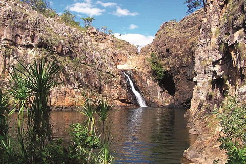 Kakadu, Katherine & Litchfield Adventure - Hotel Gold Coast 1