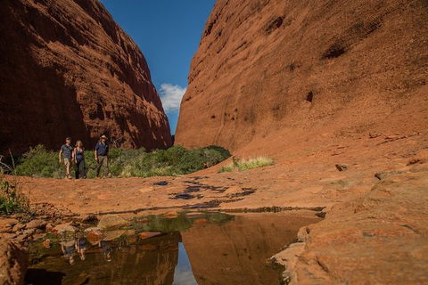 4 Day/3 Night Perentie Dreaming Safari - Hotel Gold Coast 3