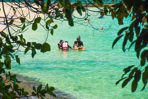 Green Island Day Trip From Cairns - Hotel Gold Coast 6
