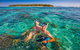 Green Island Day Trip From Cairns - thumb 0
