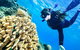 Green Island Day Trip From Cairns - thumb 5