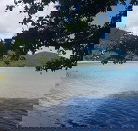 Full Day Tour in the Daintree - Hotel Gold Coast