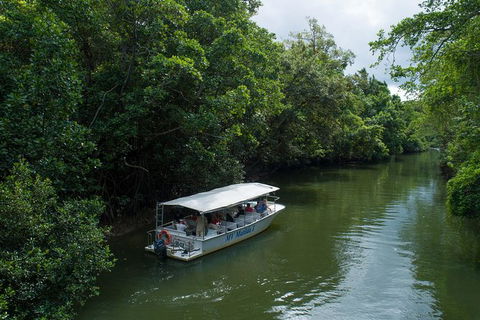 Daintree Rainforest, Cape Tribulation And Bloomfield Track Small Group Tour - Hotel Gold Coast 5