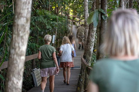 Daintree Rainforest, Cape Tribulation And Bloomfield Track Small Group Tour - Hotel Gold Coast 15