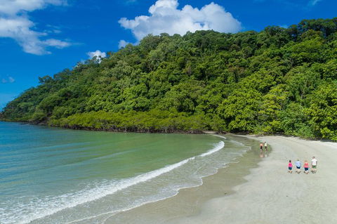 Daintree Rainforest, Cape Tribulation And Bloomfield Track Small Group Tour - Hotel Gold Coast 2