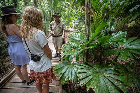 Daintree Rainforest, Cape Tribulation And Bloomfield Track Small Group Tour - Hotel Gold Coast 12