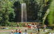 Atherton Tablelands Waterfalls And Rainforest Day Tour Departing Cairns - thumb 4