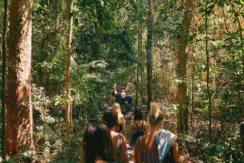 Atherton Tablelands Waterfalls And Rainforest Day Tour Departing Cairns - Hotel Gold Coast 10