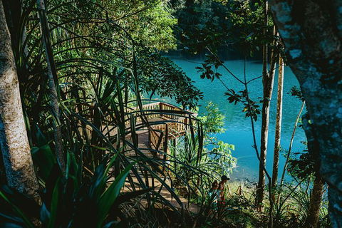 Atherton Tablelands Waterfalls And Rainforest Day Tour Departing Cairns - Hotel Gold Coast 5