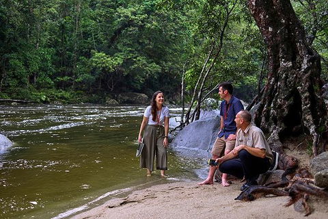 Daintree And Cape Tribulation Tour From Cairns - Hotel Gold Coast 2