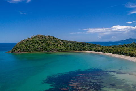 Daintree And Cape Tribulation Tour From Cairns - Hotel Gold Coast 7