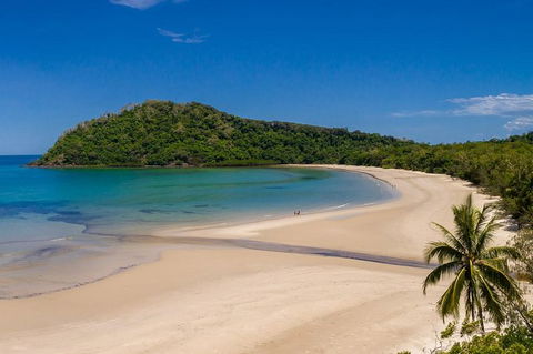 Daintree And Cape Tribulation Tour From Cairns - Hotel Gold Coast 8