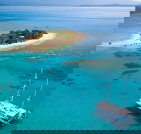 Wavedancer Low Isles Great Barrier Reef Sailing Cruise from Cairns - Hotel Gold Coast