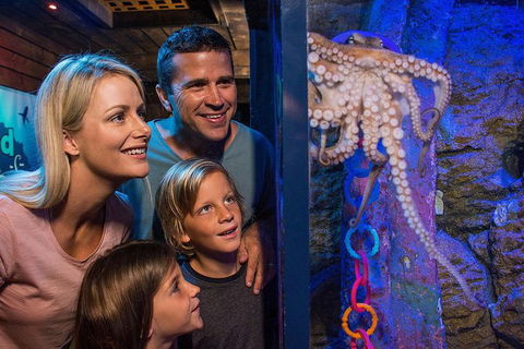 SEA LIFE Sunshine Coast Aquarium Entrance Ticket - Hotel Gold Coast 5