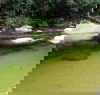 Afternoon Half-Day Daintree Rainforest and River Tour - Hotel Gold Coast