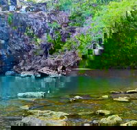 Reef Wildlife  Rainforest - Reef  Beyond Guided Holidays - Hotel Gold Coast