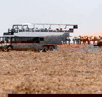 Nogo Station Experience - Hotel Gold Coast