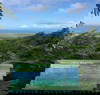 Daintree Luxury Limousine Tour - Full Day