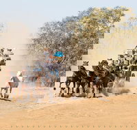 Cobb and Co Stagecoach Experience - Hotel Gold Coast