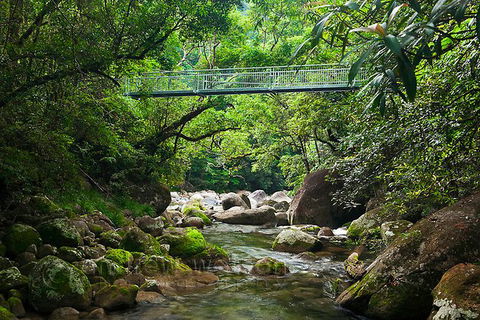 SHUTTLE - Mossman Gorge & Cooya Beach From Port Douglas (Return Transfer) - Hotel Gold Coast 4