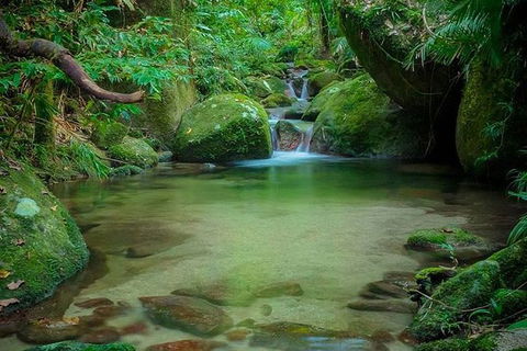 SHUTTLE - Mossman Gorge & Cooya Beach From Port Douglas (Return Transfer) - Hotel Gold Coast 2