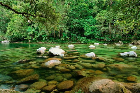 SHUTTLE - Mossman Gorge & Cooya Beach From Port Douglas (Return Transfer) - Hotel Gold Coast 3