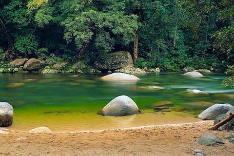 SHUTTLE - Mossman Gorge & Cooya Beach From Port Douglas (Return Transfer) - Hotel Gold Coast 1