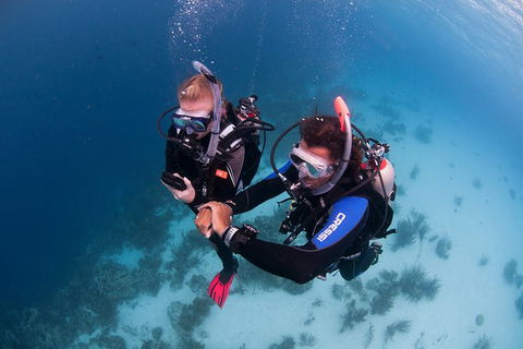 PADI Diving Courses On The Gold Coast - Hotel Gold Coast 5