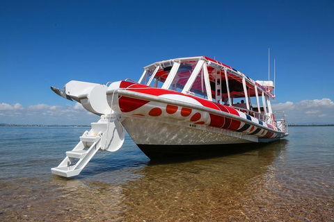 Half Day St. Helena Island Tour - Hotel Gold Coast 3