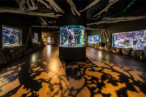 Cairns Aquarium By Twilight With 3 Course Dinner - Hotel Gold Coast 7