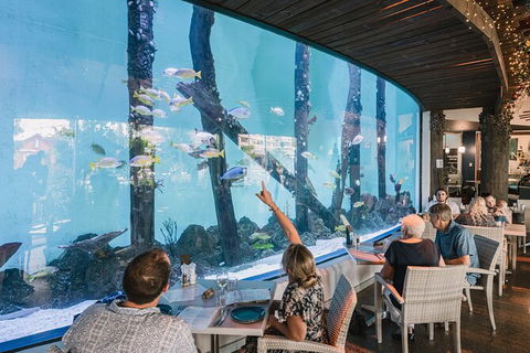 Cairns Aquarium By Twilight With 3 Course Dinner - Hotel Gold Coast 1