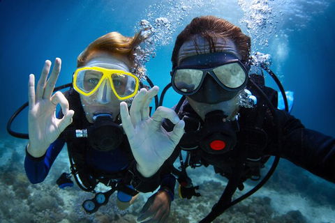 2 Night Whitsunday Islands Cruise On Atlantic Clipper From Airlie Beach - Hotel Gold Coast 4