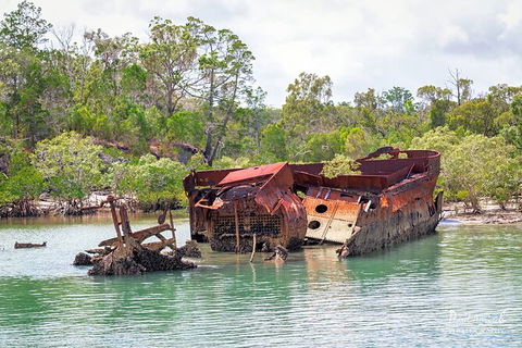 Sandy Straits Scenic & Wildlife Cruise - Hotel Gold Coast 9
