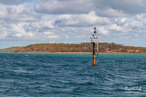 Sandy Straits Scenic & Wildlife Cruise - Hotel Gold Coast 6