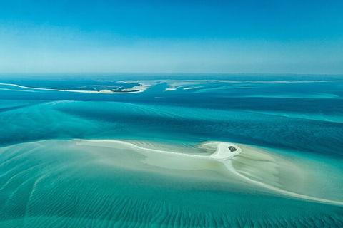 Sandy Straits Scenic & Wildlife Cruise - Hotel Gold Coast 5