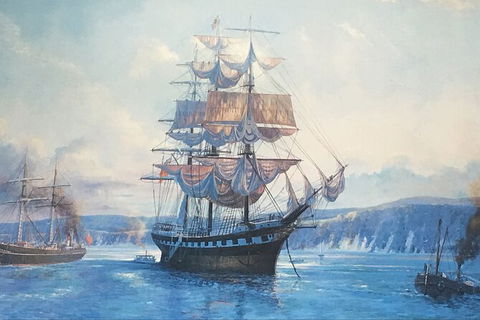 Sandy Straits Scenic & Wildlife Cruise - Hotel Gold Coast 8