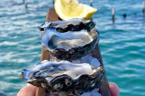 Coffin Bay Oysters, Ocean & Nature Tour - Hotel Gold Coast 0