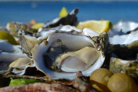 Coffin Bay Oysters, Ocean & Nature Tour - Hotel Gold Coast 8