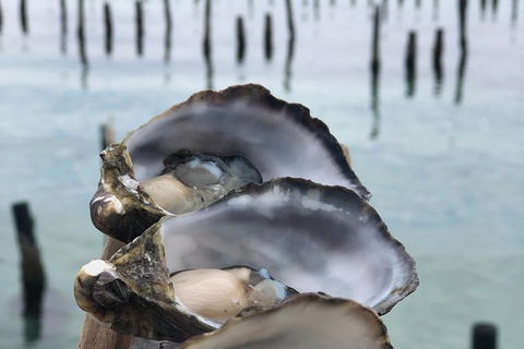Coffin Bay Oysters, Ocean & Nature Tour - Hotel Gold Coast 6