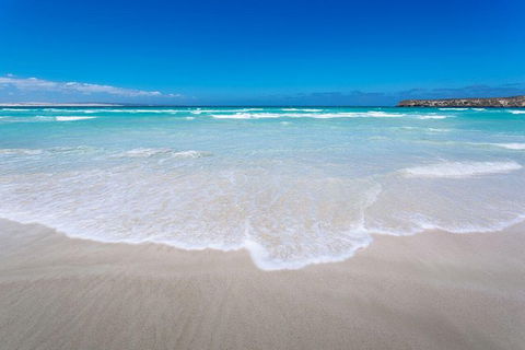 Coffin Bay Oysters, Ocean & Nature Tour - Hotel Gold Coast 14