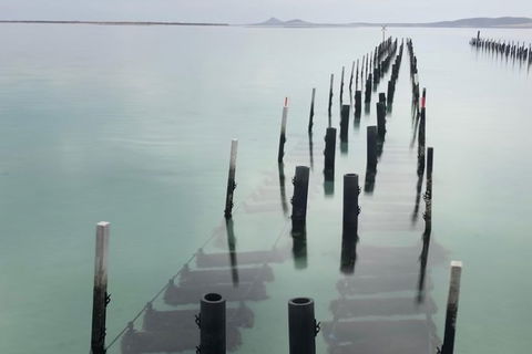 Coffin Bay Oysters, Ocean & Nature Tour - Hotel Gold Coast 15