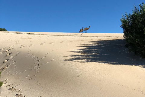 Coffin Bay Oysters, Ocean & Nature Tour - Hotel Gold Coast 4