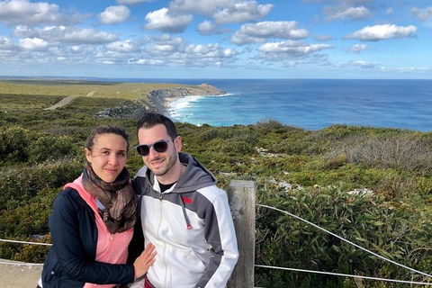 NEW TOUR - Flinders Chase Tour (Recovering From Fires) - Hotel Gold Coast 3