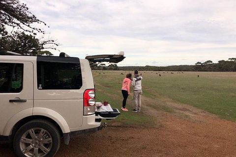 NEW TOUR - Flinders Chase Tour (Recovering From Fires) - Hotel Gold Coast 6