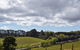Adelaide Hills Full Day Winery Tour With Tastings - thumb 4