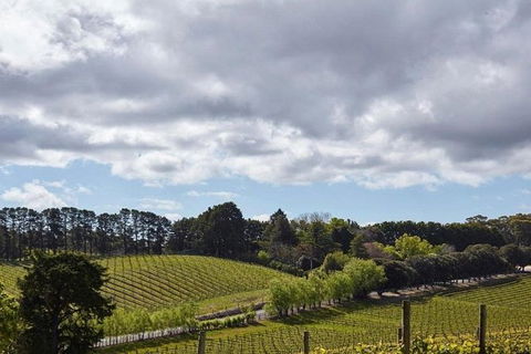 Adelaide Hills Full Day Winery Tour With Tastings - Hotel Gold Coast 4