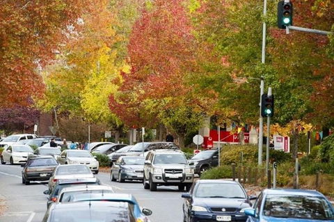 Adelaide Hills Full Day Winery Tour With Tastings - Hotel Gold Coast 3