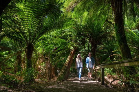 The Great Ocean Road 1 Day Private Sunset Tour - Hotel Gold Coast 1