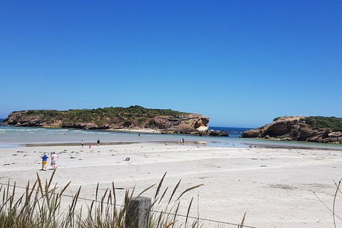 Warrnambool Wanderer Tour - Hotel Gold Coast 1